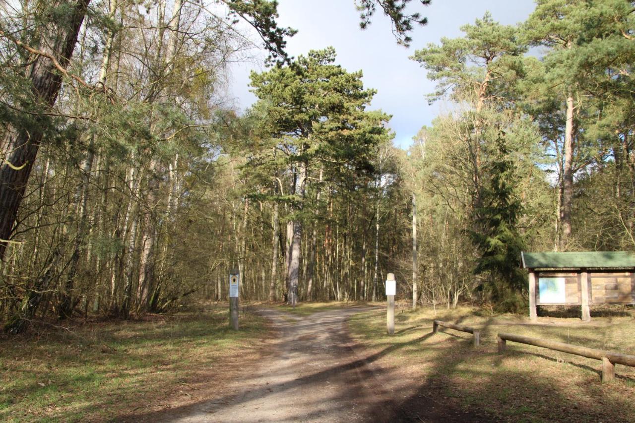 Das Kleine, Gemuetliche Ferienhaus Ludorf Extérieur photo